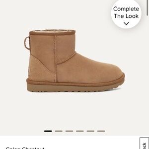 Uggs Mini Boot Chestnut